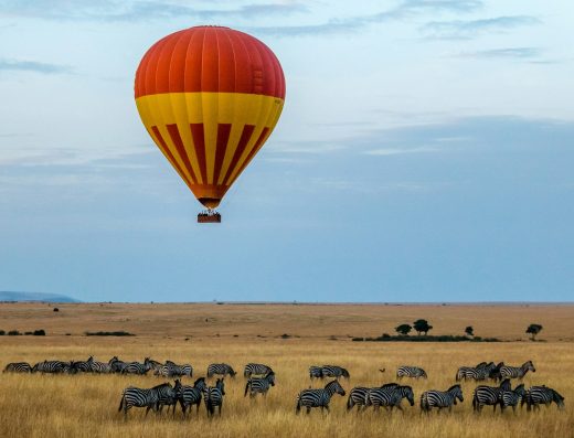 7 Days in Nairobi, Maasai Mara and Mombasa Wheelchair-Friendly Flying Safari
