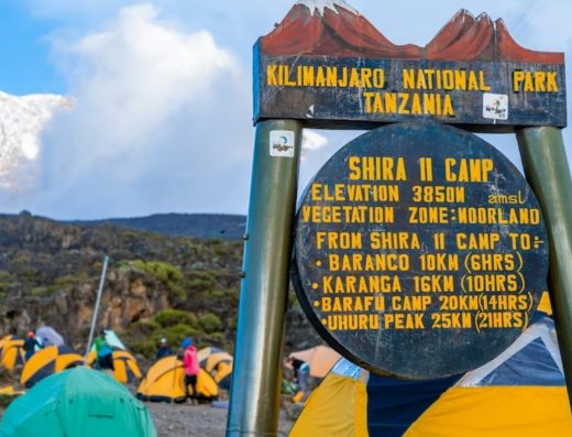 3 Days / 2 Nights Serengeti & Serval Wildlife Safari