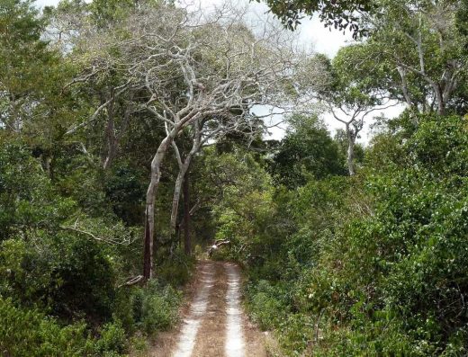 9 Days / 8 Nights Kiboko Experiences: Tsavo & Malindi Package