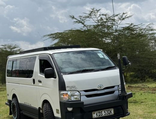 Toyota Hiace Pop-Up Roof Safari Van