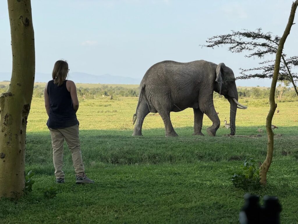 Guest watching an elephant at Ol Pejeta during the Ramsays’ March safari