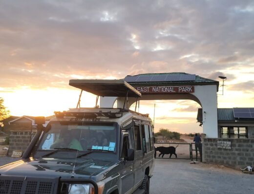 Safari Land Cruiser at sunrise by the park gate