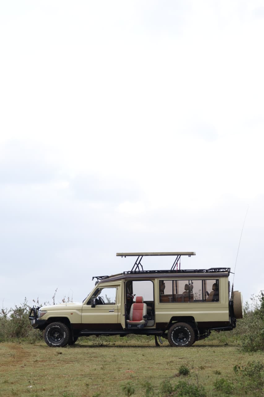 4×4 Safari Land Cruisers: Accessible Modifications